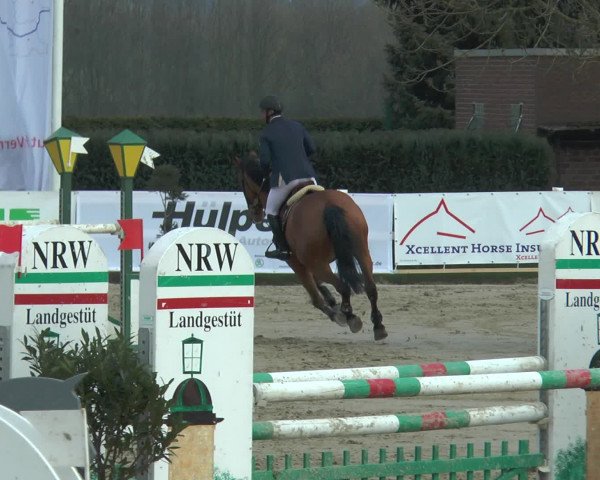 Lenklarer Reitertage 2016