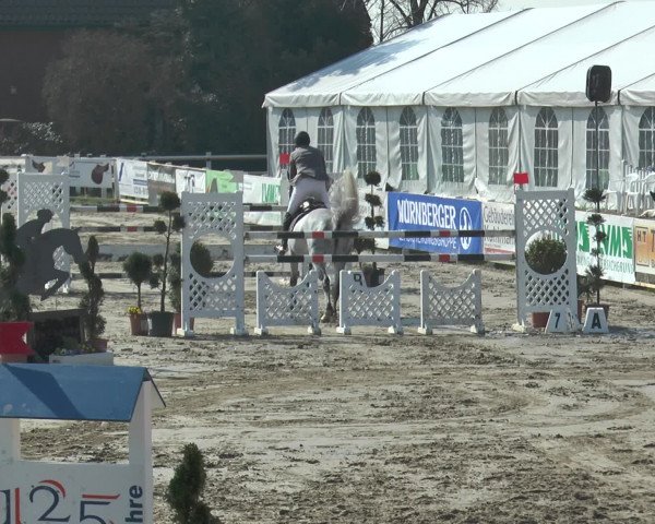 Reitturnier Werne-Lenklar 2016