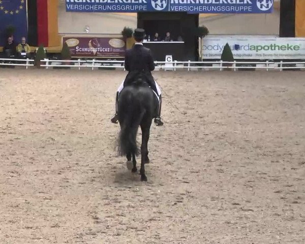 7. Pforzheimer Dressurtage 2016