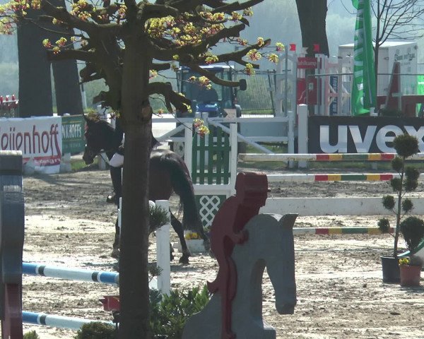 Lenklarer Reitertage 2016