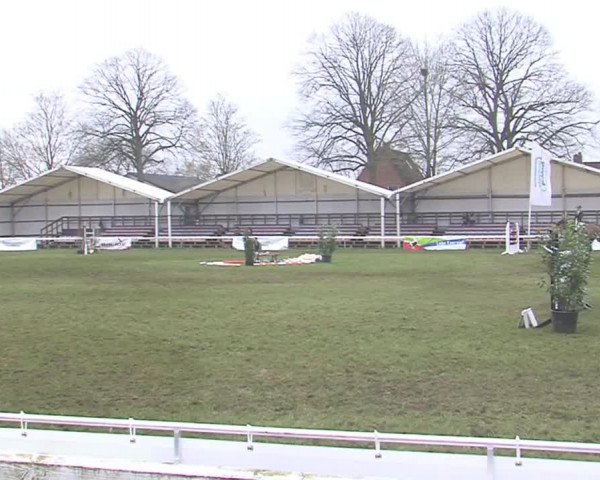Reitturnier Rendsburg 2016