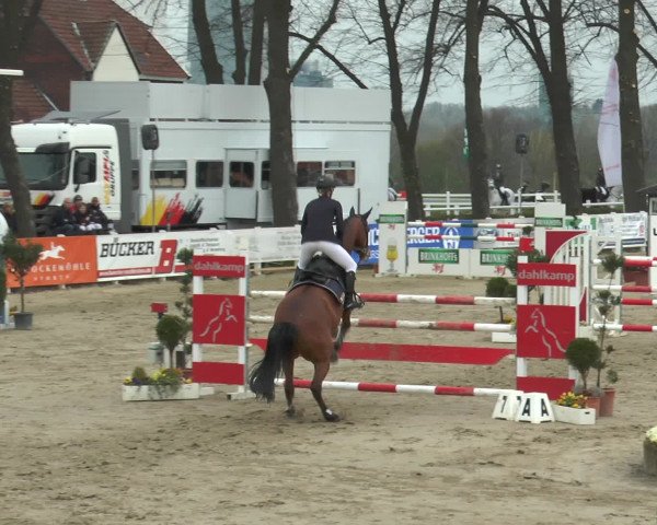Reitturnier Werne-Lenklar 2016