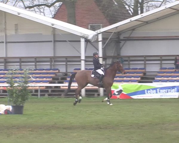 Reitturnier Rendsburg 2016