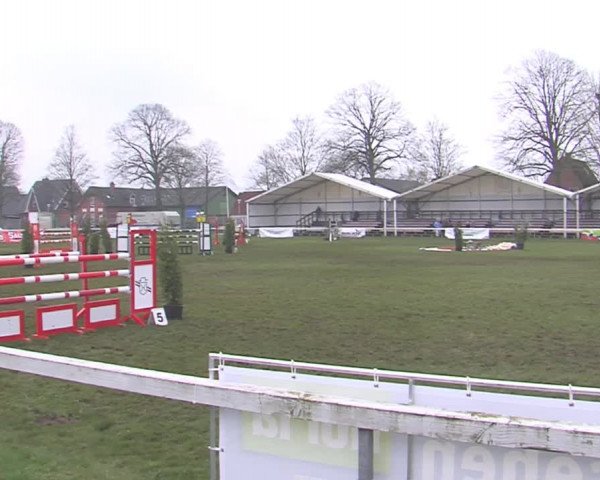 Reitturnier Rendsburg 2016