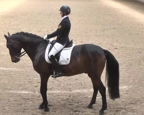 7. Pforzheimer Dressurtage 2016