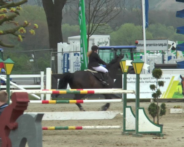 Reitturnier Werne-Lenklar 2016