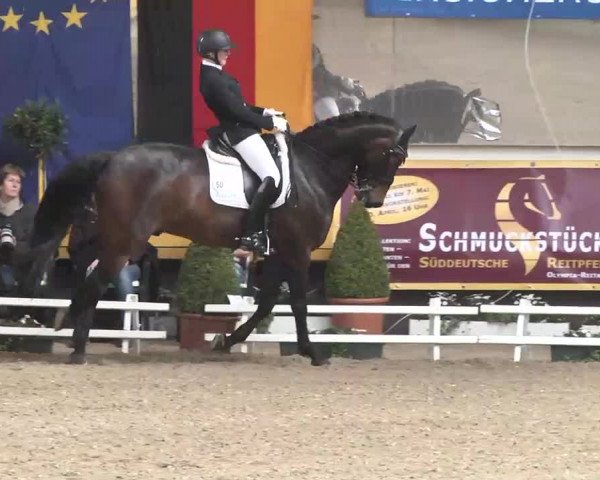 7. Pforzheimer Dressurtage 2016