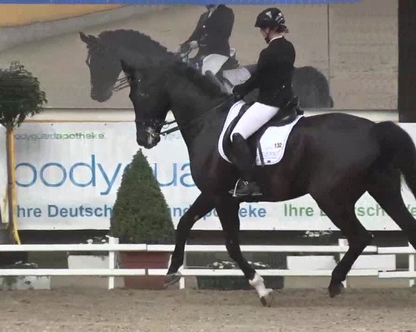 7. Pforzheimer Dressurtage 2016