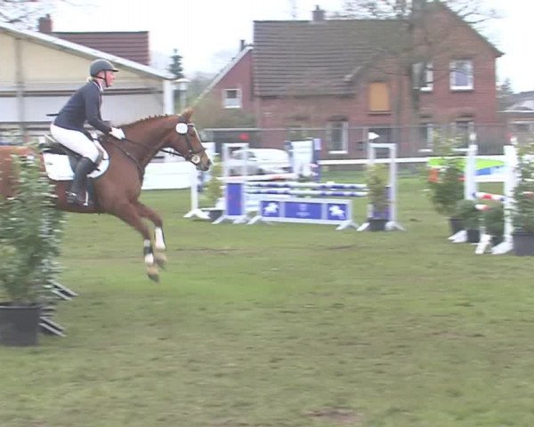 Reitturnier Rendsburg 2016