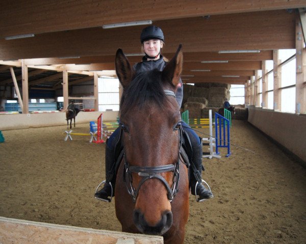 Springpferd Carry 88 (Württemberger, 2010, von Carry)