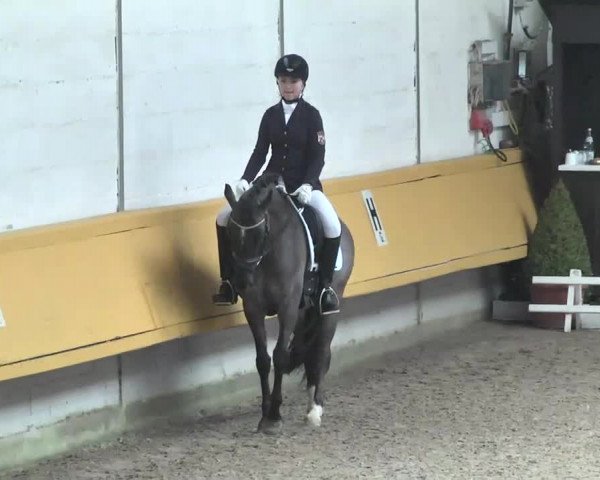 7. Pforzheimer Dressurtage 2016