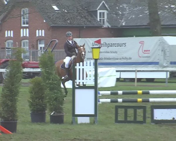 Reitturnier Rendsburg 2016