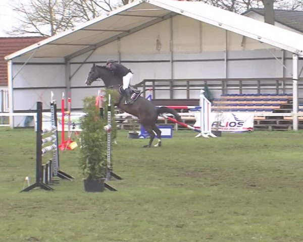 Reitturnier Rendsburg 2016