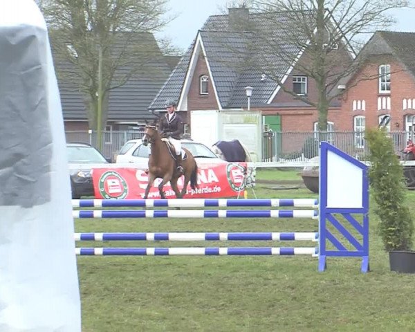 Reitturnier Rendsburg 2016