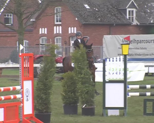 Reitturnier Rendsburg 2016
