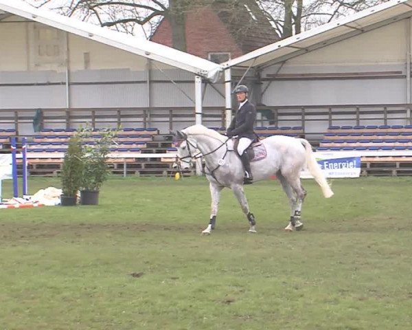 Reitturnier Rendsburg 2016