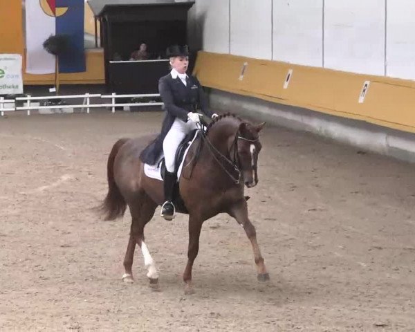 7. Pforzheimer Dressurtage 2016