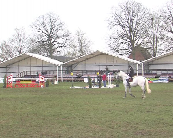 Reitturnier Rendsburg 2016