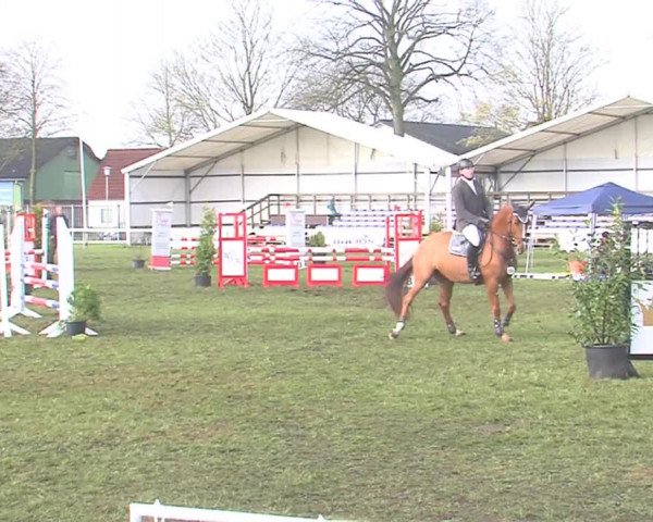 Reitturnier Rendsburg 2016
