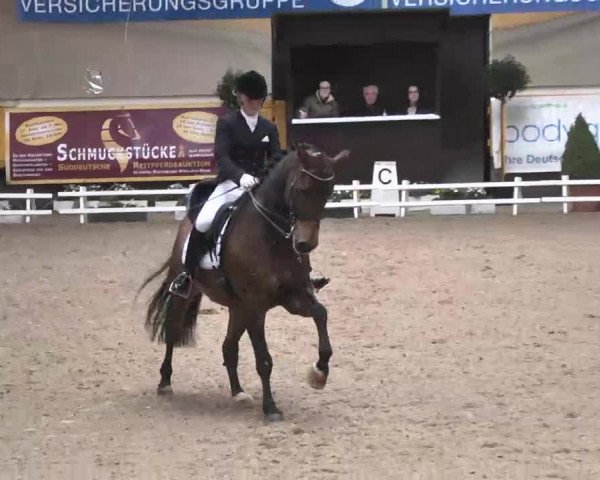 7. Pforzheimer Dressurtage 2016