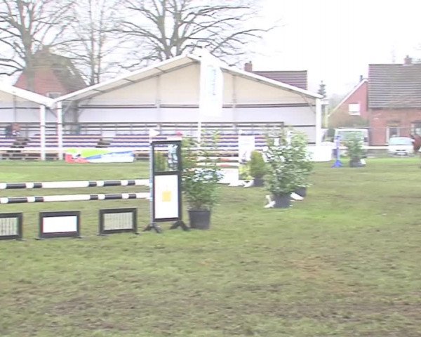 Reitturnier Rendsburg 2016