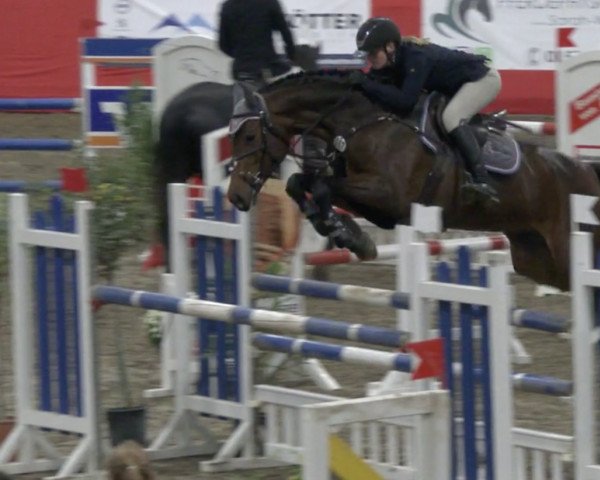jumper CONORA BLUE PS (Oldenburg show jumper, 2014, from Conthargos)