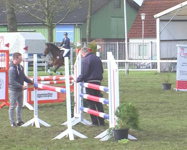 Reitturnier Rendsburg 2016