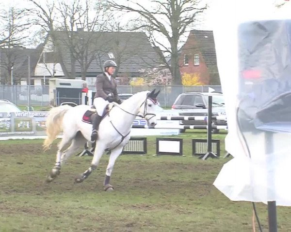 Reitturnier Rendsburg 2016