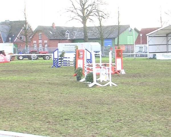 Reitturnier Rendsburg 2016