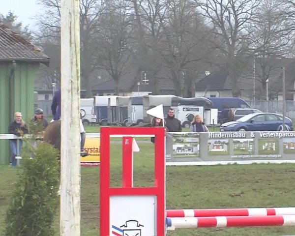 Reitturnier Rendsburg 2016