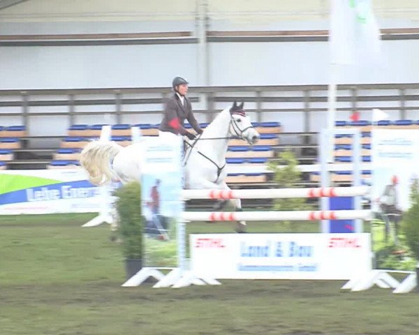 Reitturnier Rendsburg 2016
