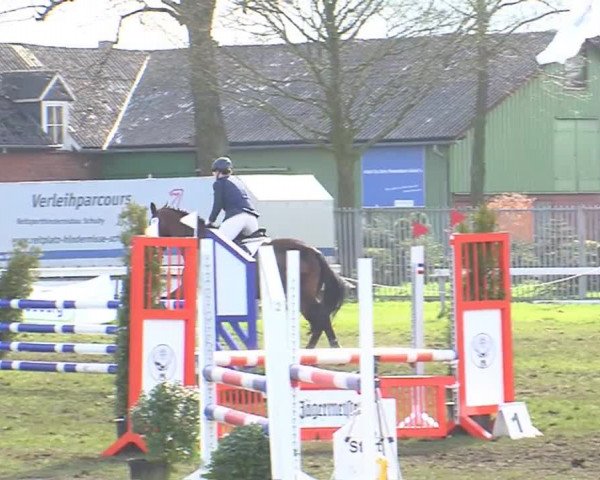 Reitturnier Rendsburg 2016