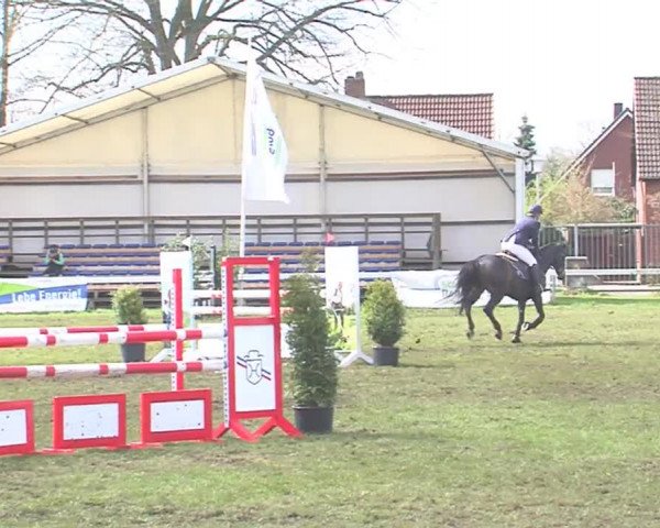 Reitturnier Rendsburg 2016