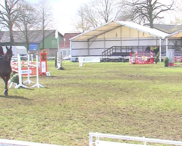 Reitturnier Rendsburg 2016