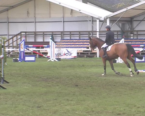 Reitturnier Rendsburg 2016