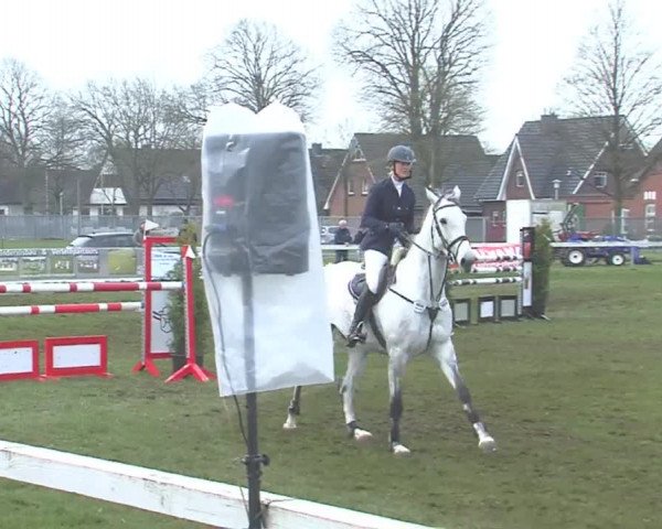 Reitturnier Rendsburg 2016