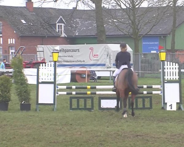 Reitturnier Rendsburg 2016