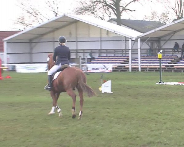 Reitturnier Rendsburg 2016