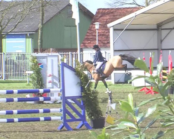 Reitturnier Rendsburg 2016