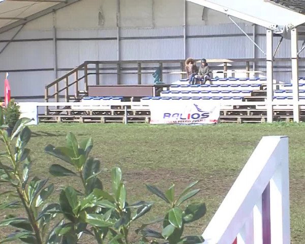 Reitturnier Rendsburg 2016