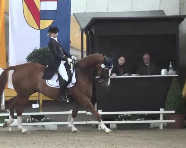 7. Pforzheimer Dressurtage 2016