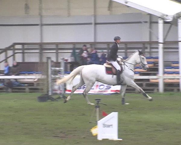 Reitturnier Rendsburg 2016