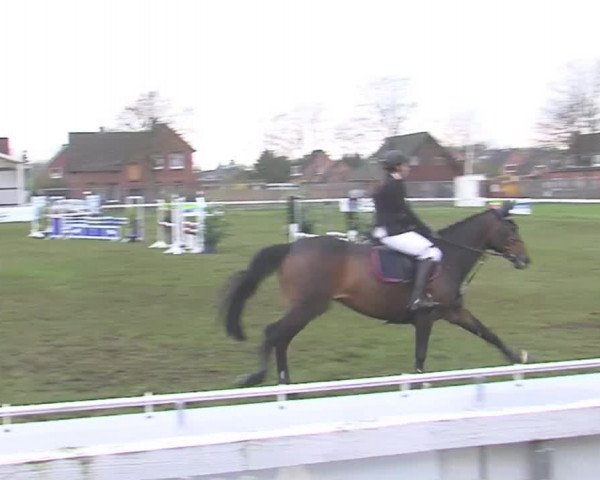 Reitturnier Rendsburg 2016