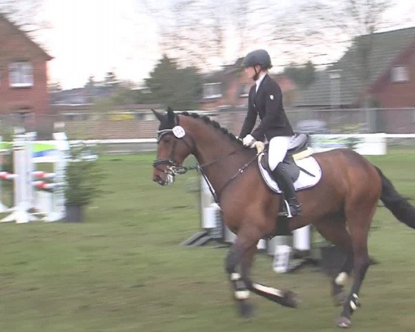 Reitturnier Rendsburg 2016