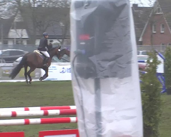 Reitturnier Rendsburg 2016