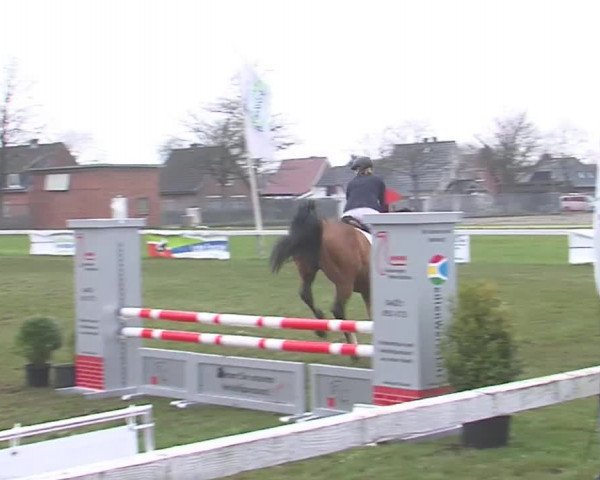Reitturnier Rendsburg 2016