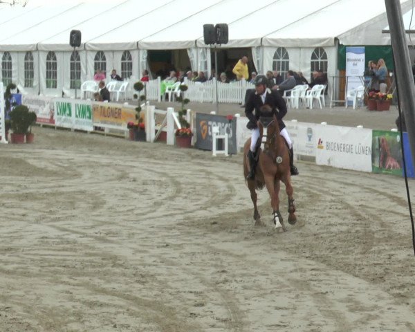 Reitturnier Werne-Lenklar 2016