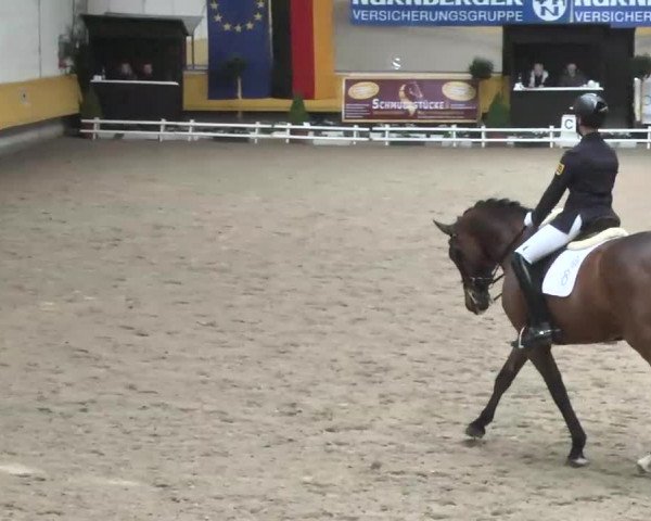 7. Pforzheimer Dressurtage 2016