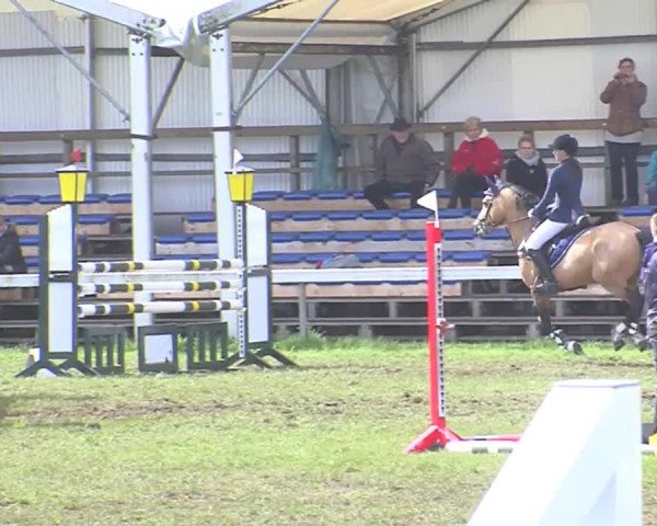 Reitturnier Rendsburg 2016
