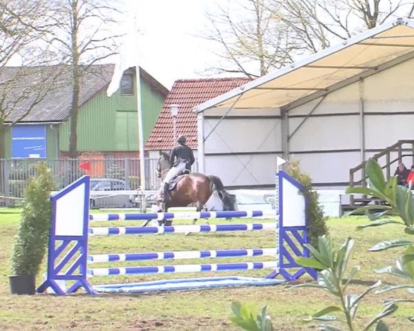Reitturnier Rendsburg 2016